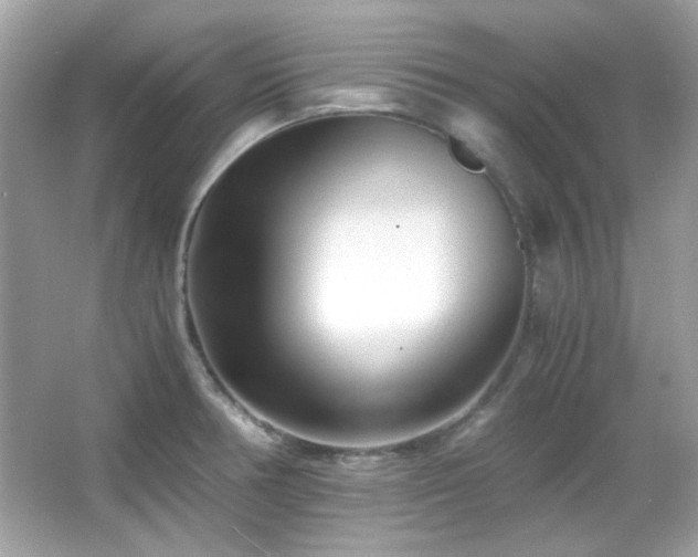 X0000066081378200603101129