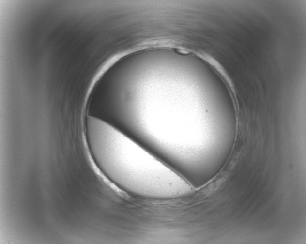 X0000066081389200603101129
