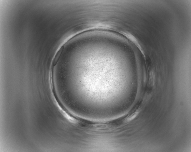 X0000066081391200603101129