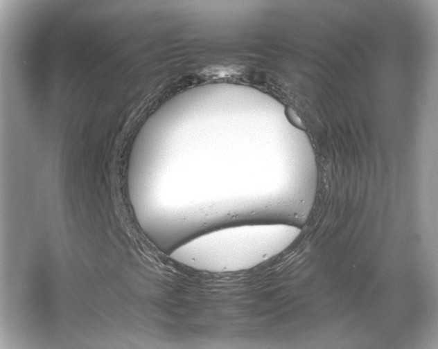 X0000066081393200603101128