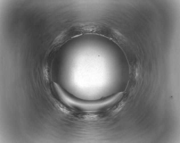 X0000066081394200603101128