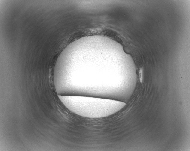 X0000066081395200603101128
