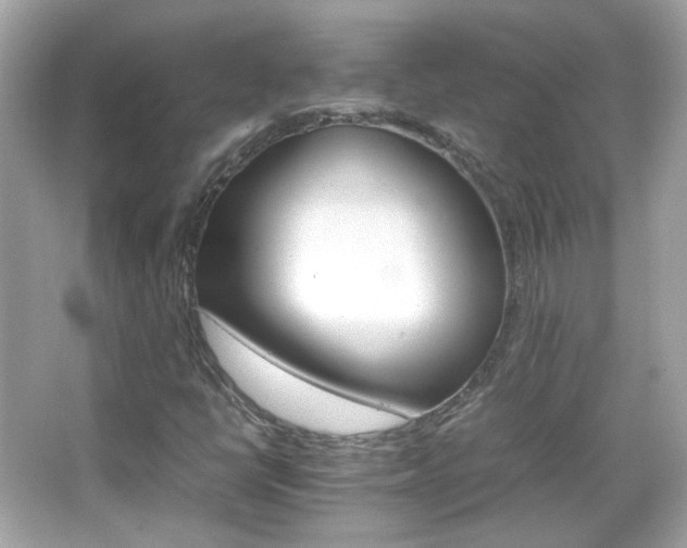 X0000066081398200603101128