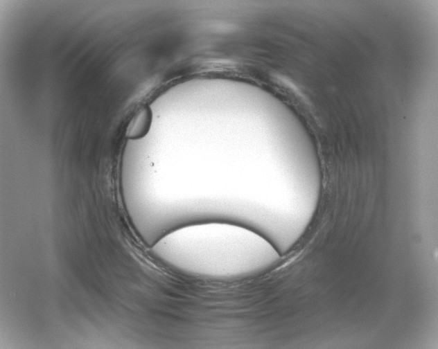 X0000066081403200603101128