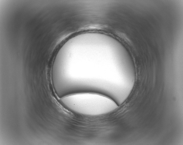 X0000066081404200603101128