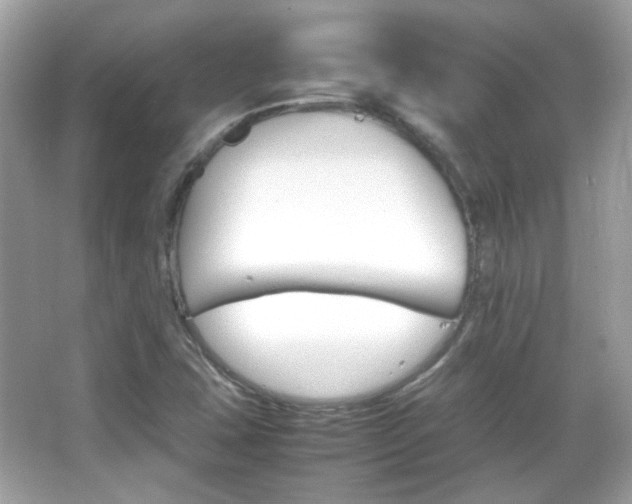 X0000066081407200603101128