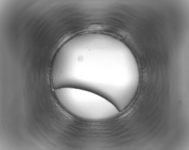 X0000066081409200603101128