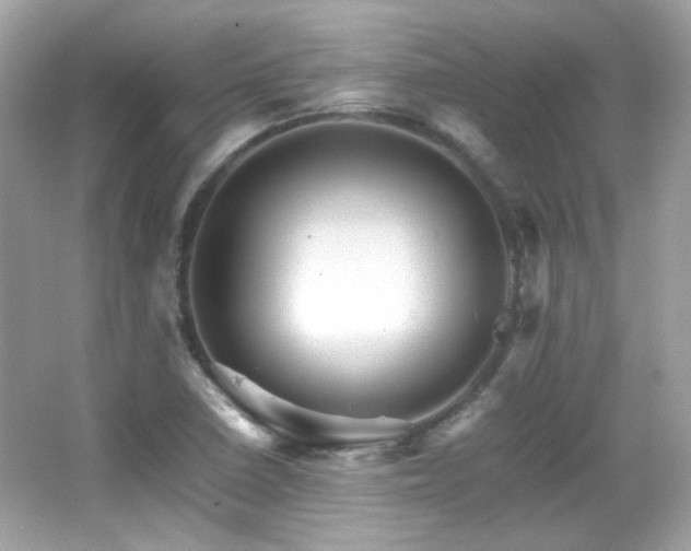 X0000066081410200603101128