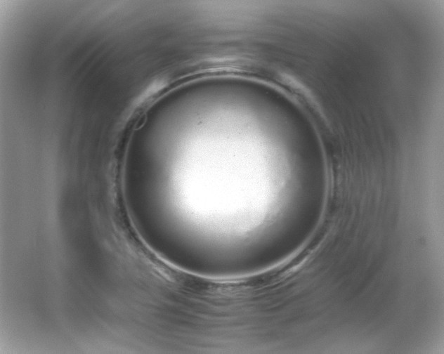 X0000066081411200603101128