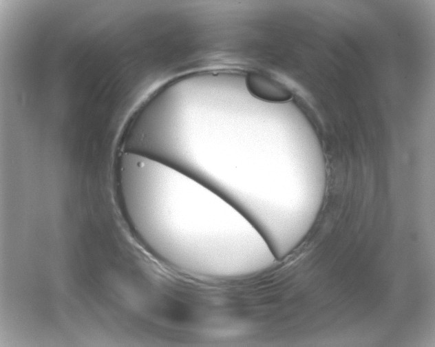 X0000066081415200603101128