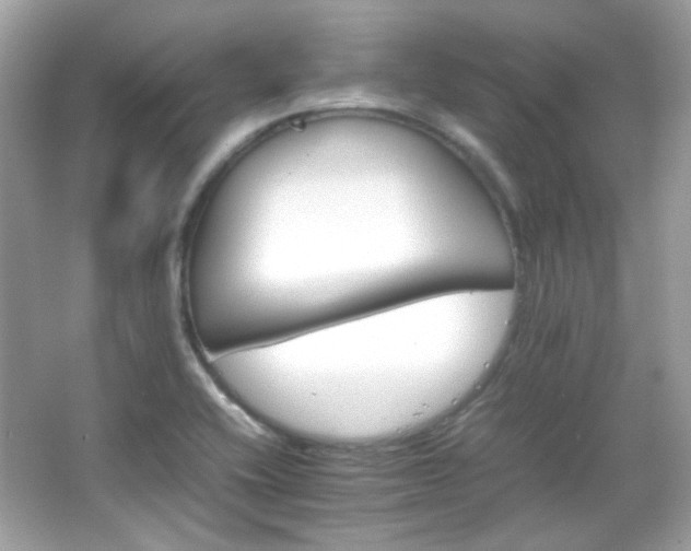 X0000066081416200603101128