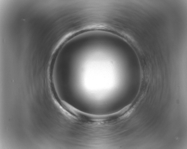 X0000066081422200603101128