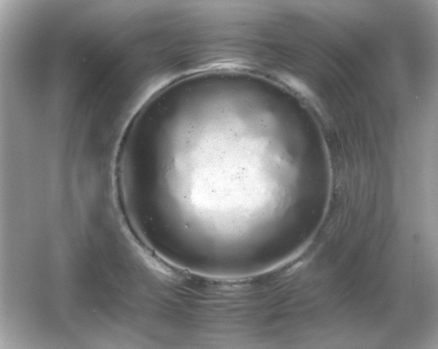 X0000066081423200603101128