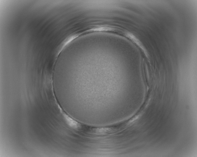 X0000066081425200603101128