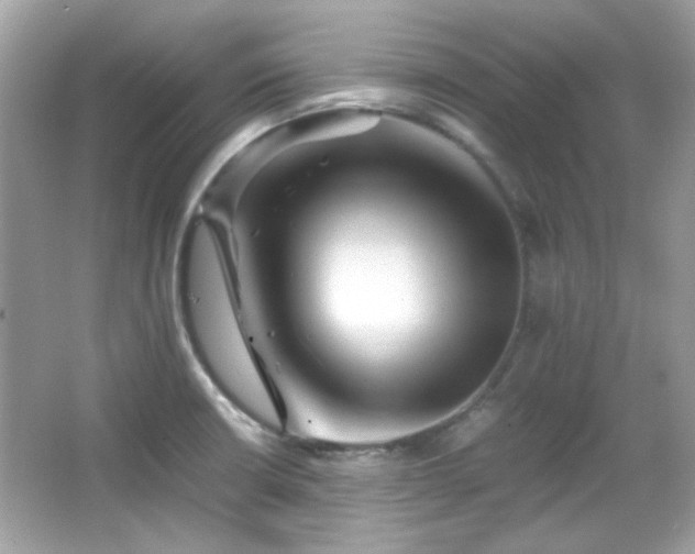 X0000066081426200603101128