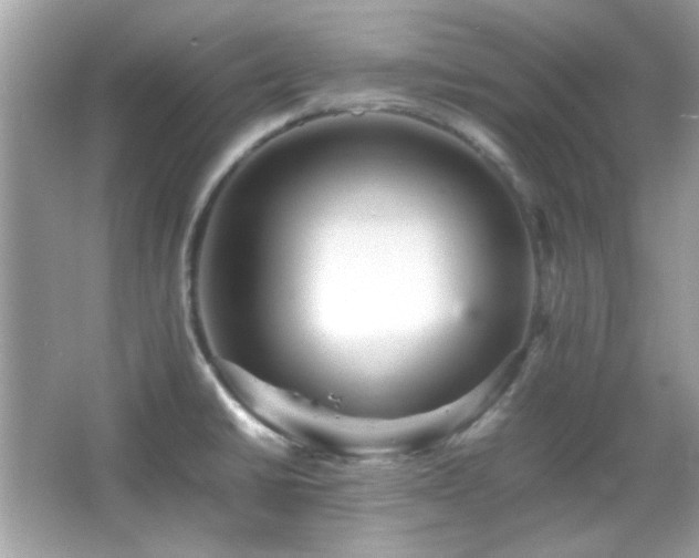 X0000066081430200603101128