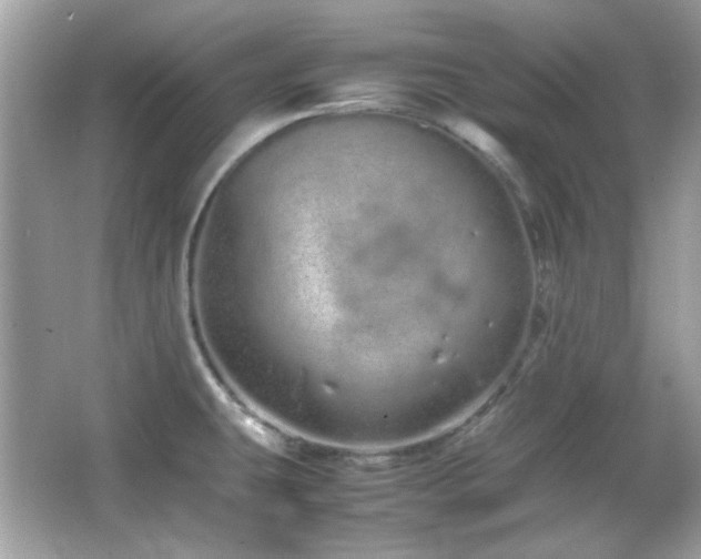 X0000066081431200603101128