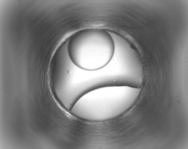 X0000066081432200603101128