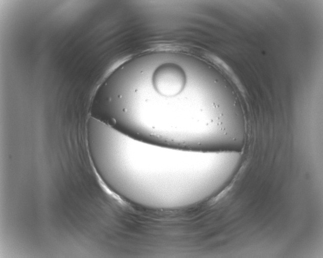 X0000066081433200603101129