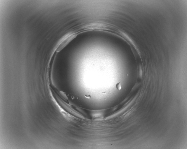 X0000066081434200603101129