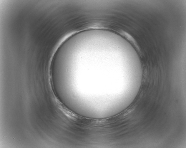 X0000066081435200603101129