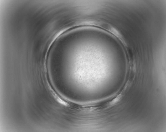 X0000066081436200603101129