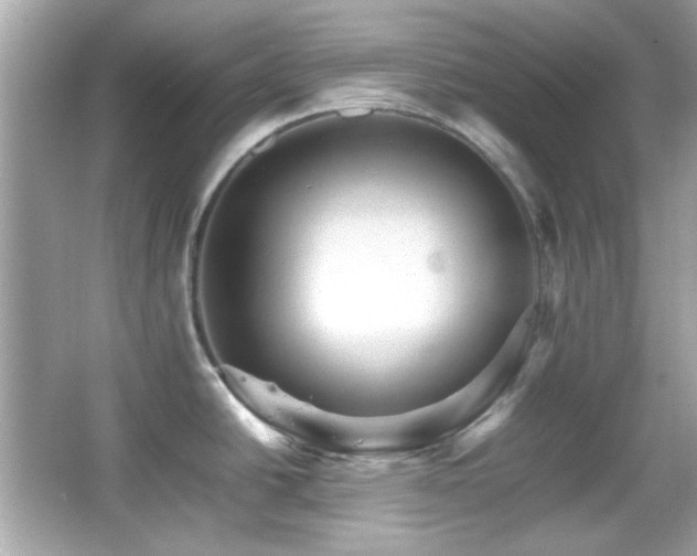 X0000066081438200603101129