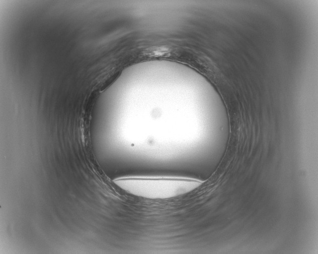 X0000066081442200603101128
