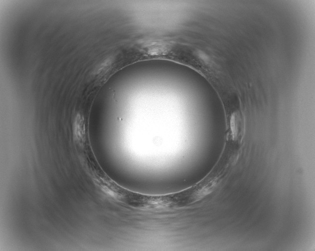 X0000066081443200603101128
