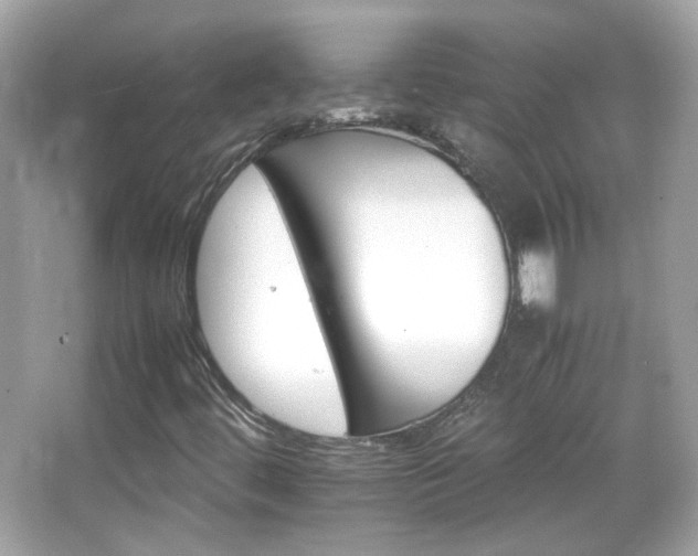 X0000066081444200603101128