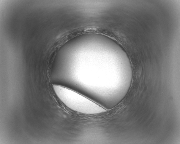 X0000066081445200603101128