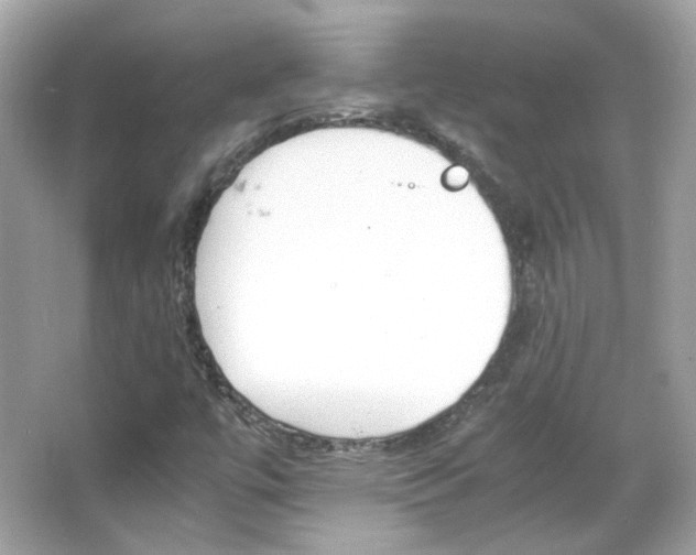 X0000066081447200603101128