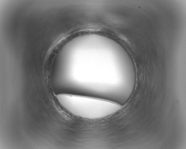 X0000066081448200603101128