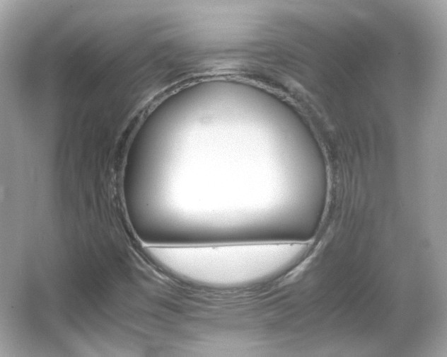 X0000066081449200603101128