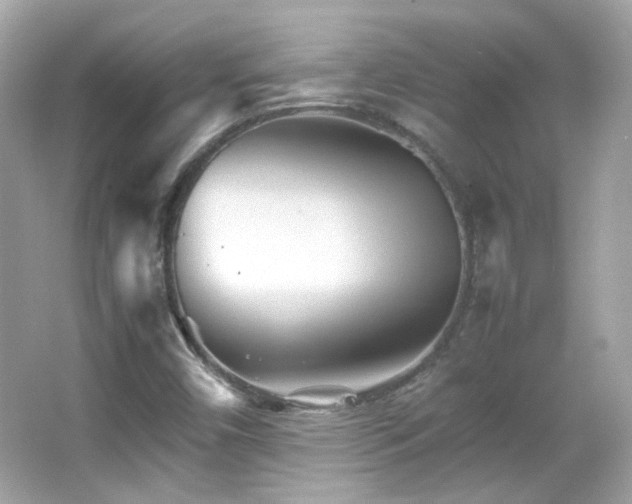 X0000066081450200603101128