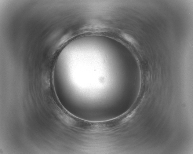 X0000066081451200603101128