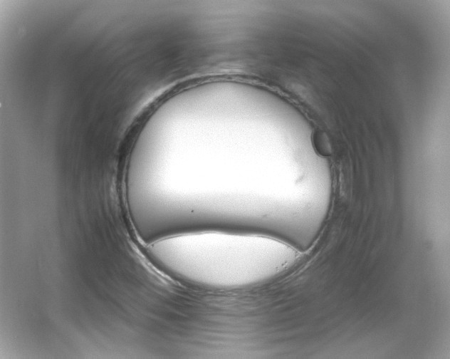 X0000066081452200603101128