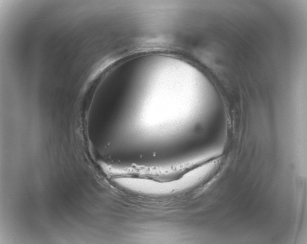 X0000066081453200603101128
