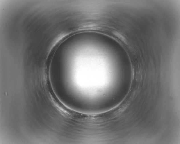 X0000066081458200603101128
