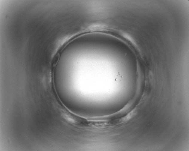 X0000066081461200603101127