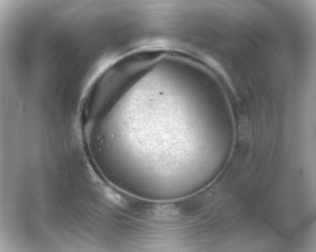 X0000066081464200603101127