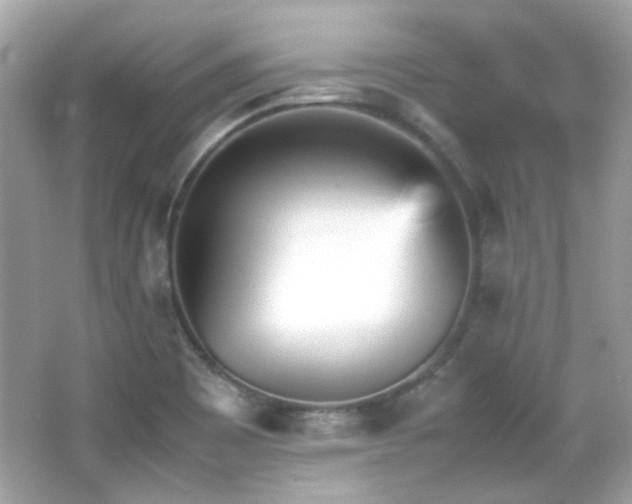 X0000066081465200603101127