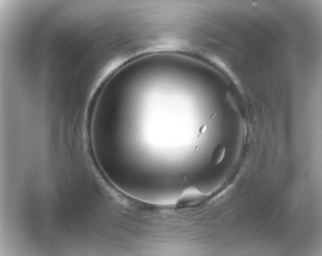 X0000066081469200603101127