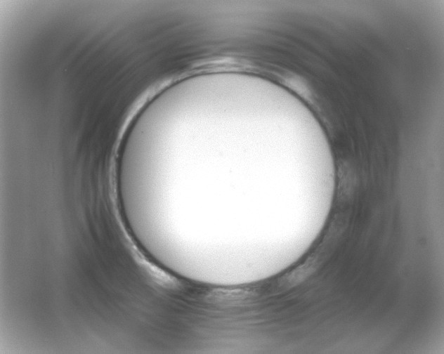 X0000066081474200603101127