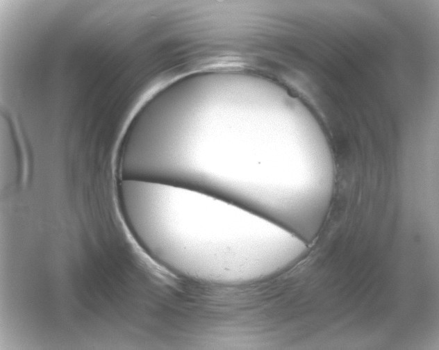 X0000066081475200603101127