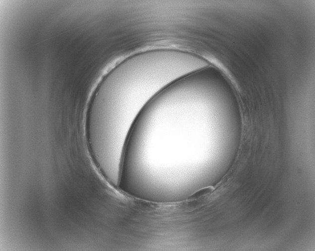 X0000066081477200603101127