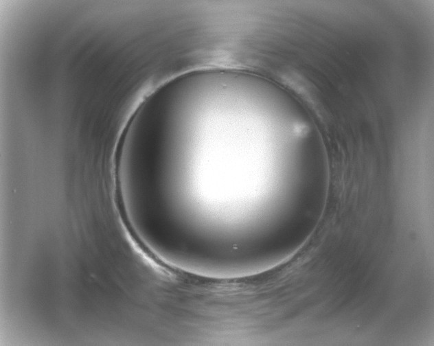 X0000066081479200603101127