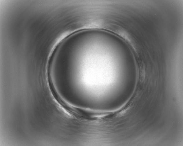 X0000066081480200603101127