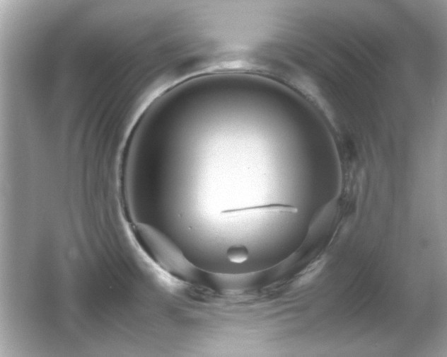 X0000066081483200603101127