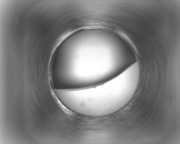 X0000066081485200603101127